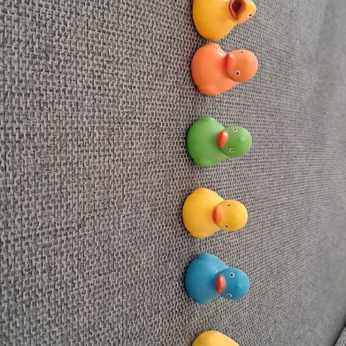 Small ducks used in good condition