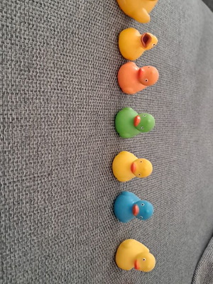 Small ducks used in good condition