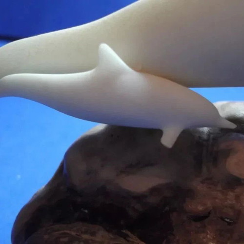 Vintage John Perry sculpture with 2 white dolphins, like new, wood