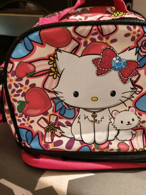 Children's lunch bag like new