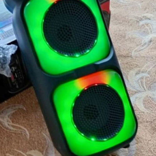 Portable Bluetooth Party Speaker with Wireless Microphone and FM Radio