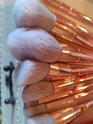 Set of 9 face brushes like new with transparent pouch