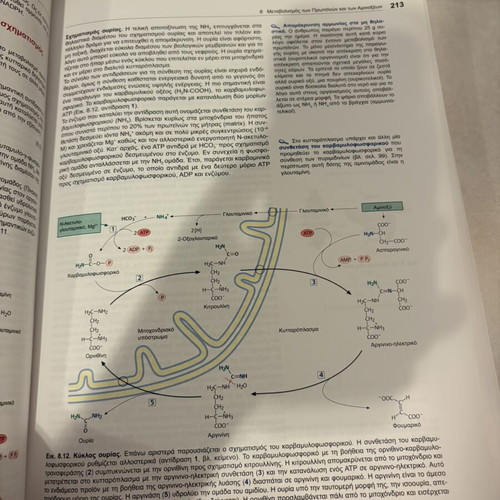 Biochemistry and Pathobiochemistry Karlsons university textbook like new