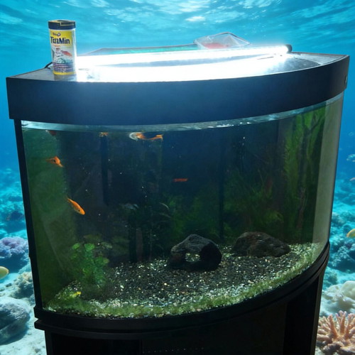 Corner aquarium 160 liters with fish, complete setup