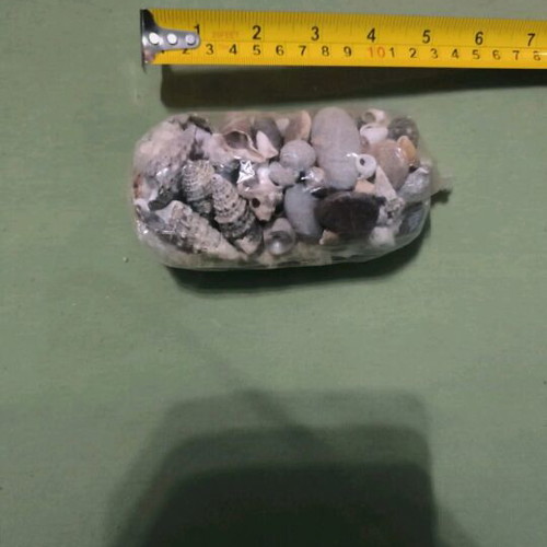 Small decorative sea shells and small stones new