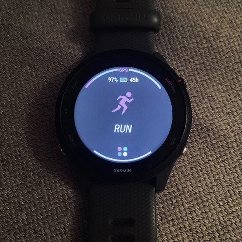Garmin Forerunner 255 slate grey edition smartwatch