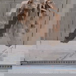  ειδικό κουτί προβολής πλεξιγκλας