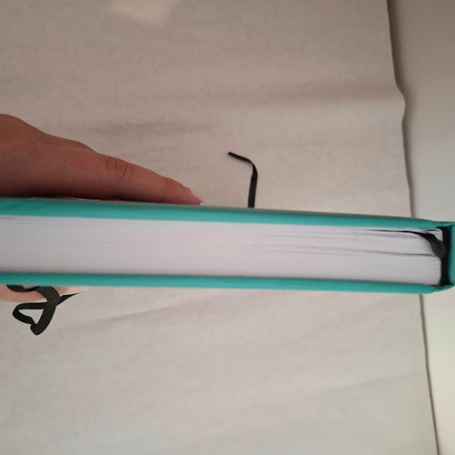 Daily diaries pack of 3 with hardcover like new