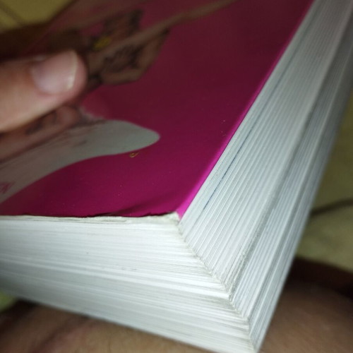 Erotica Universalis Taschen book like new, English edition