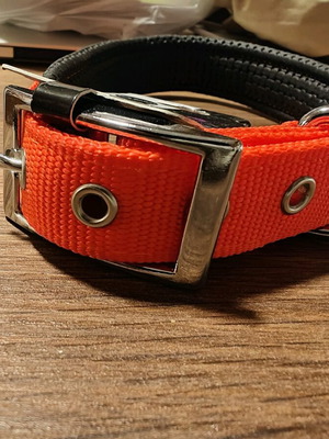 Dog collar unused