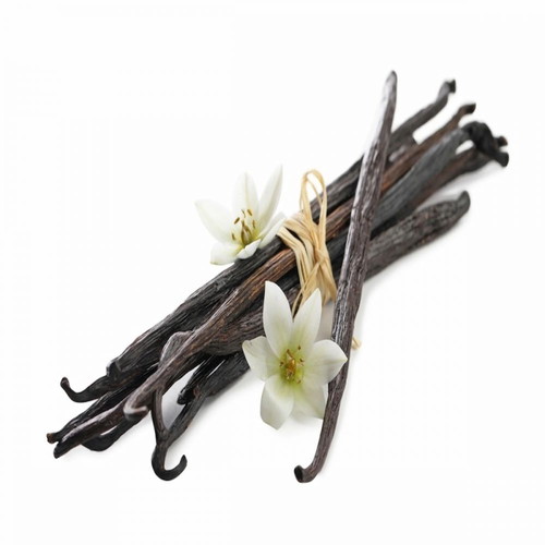 Fructus Uganda Gourmet Vanilla Stick new