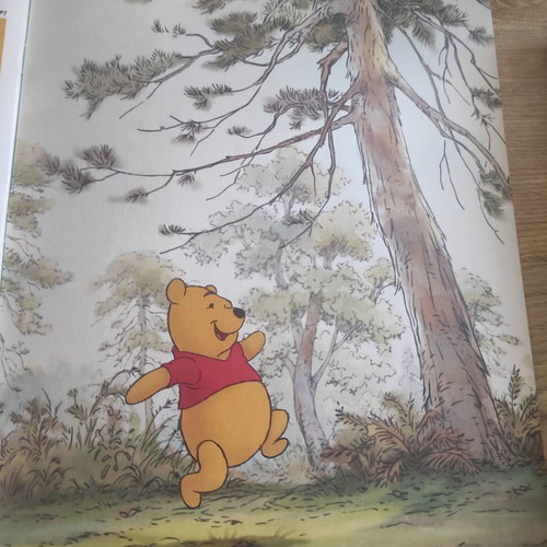 Panini album Winnie the Pooh used with poster and fabric stickers