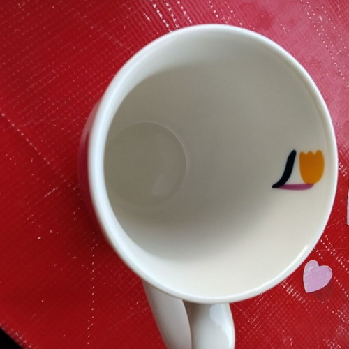 Ppd tulip flower mug with box