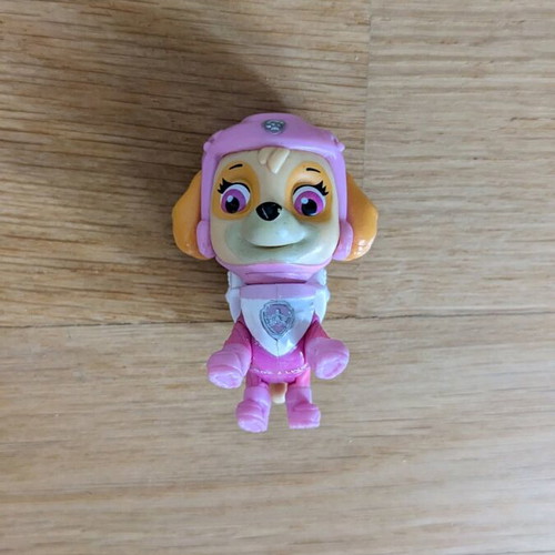 Skye Paw Patrol used