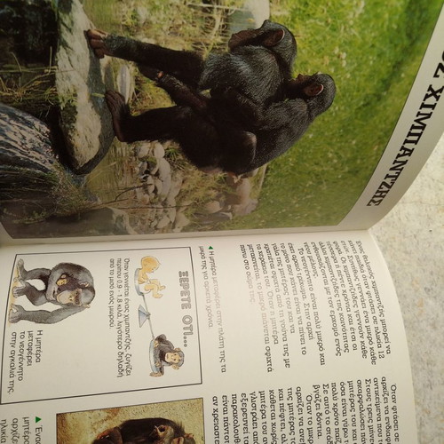 Book O Chimpantzis