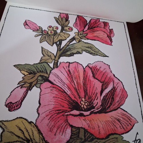 Vintage album with 12 botanical art prints by WINCH, like new