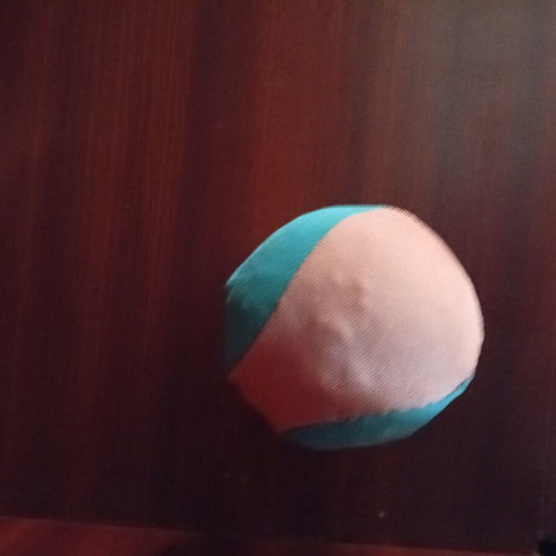 Dog ball toy