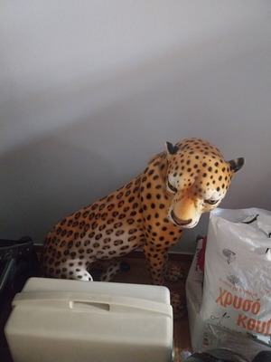 Leopard Italian porcelain, 1 meter, like new
