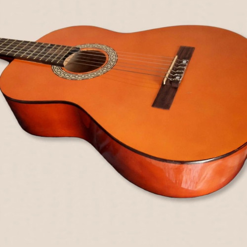 Jose Arenas C-10 classical guitar 4/4 size with soft Roadbag case