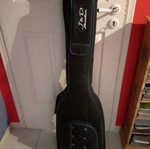 Bass case