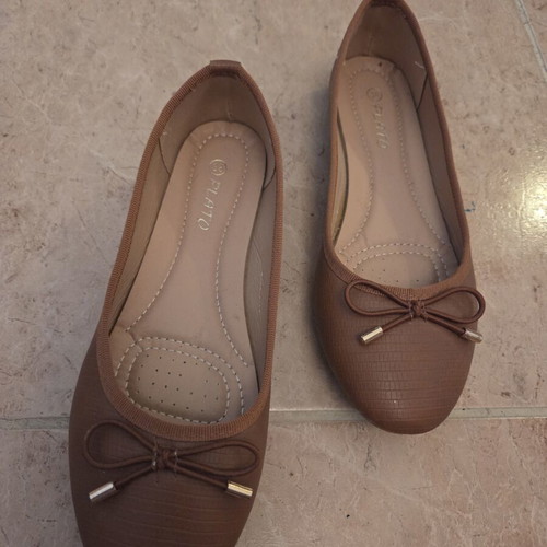 Plato Brown Ballet Flats with Decorative Bow