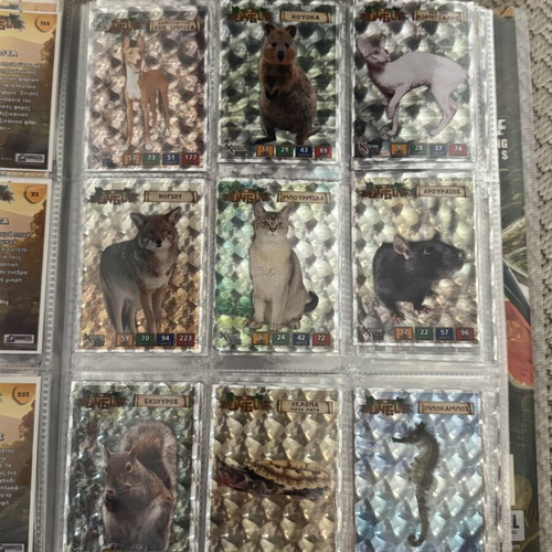 The Jungle Carouzel animal trading cards album