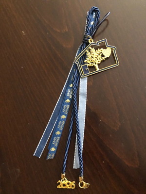 Gouri 2026 hanging blue-gold for home new 25 cm