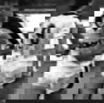  Φανελα ΠΑΟΚ 1983