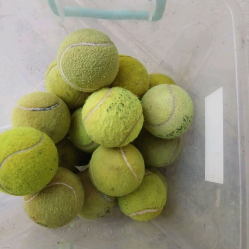 Tennis balls used, pack of 8, one Wilson new