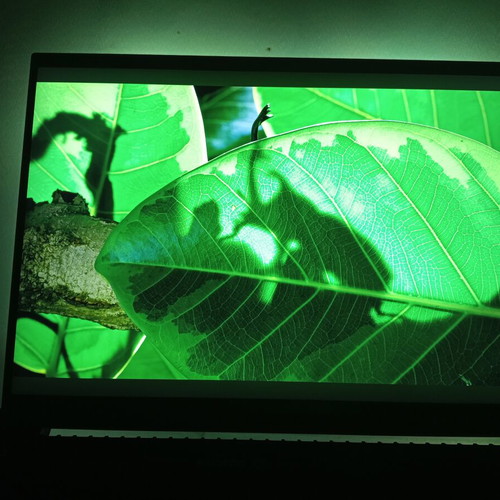 Razer Blade 18 2025 Gaming Laptop Dual 4k UHD+ 240 Hz FHD+ 440 Hz
