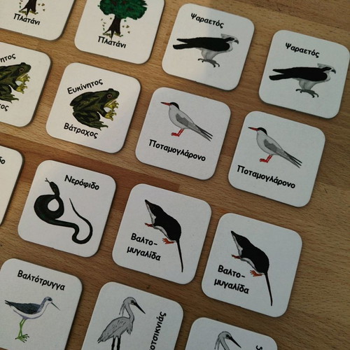 Memo memory game pack like new