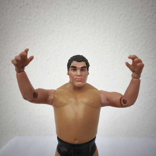 Andre the Giant FTC Legends of Pro Wrestling figure like new (2005)