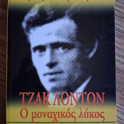 Jack London The Call of the Wild book like new