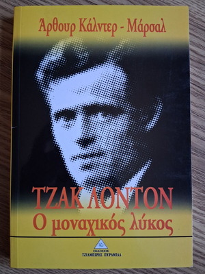Jack London The Call of the Wild book like new