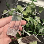 LED string lights with artificial leaves