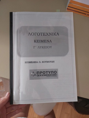 Lyceum Grade C Essay Workbook used with literary exercises