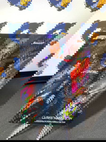 Lewis Hamilton 15/25  Formula 1