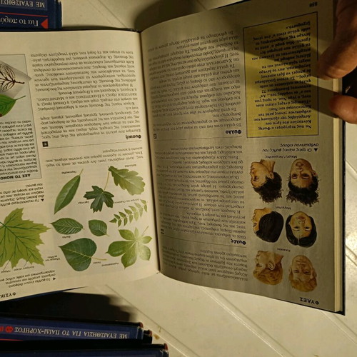 New children's encyclopedia Alpha 7 volumes like new