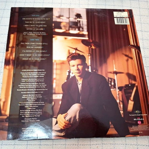 Rick Astley Hold Me In Your Arms LP used, pop