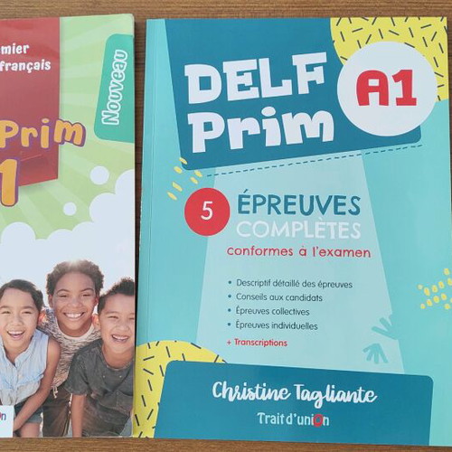 Delf Prim A1 French books like new, set of 2