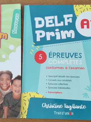 Delf Prim A1 French books like new, set of 2