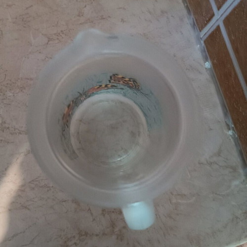 Glass pitcher with butterfly design like new