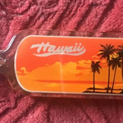 Hawaii keychain new