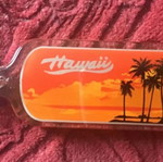 Hawaii keychain new