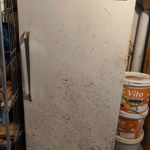 Pitsos Princessa vintage single-door refrigerator with freezer