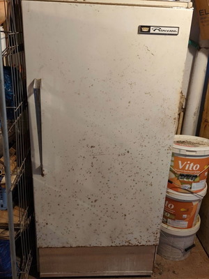 Pitsos Princessa vintage single-door refrigerator with freezer