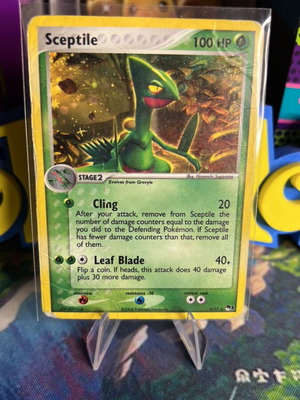Sceptile POP Series 1 holo Pokemon card
