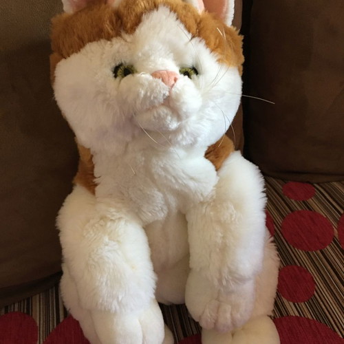 Plush cat used 20x40cm