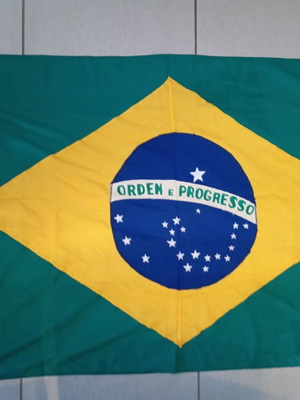 Brazilian flag new