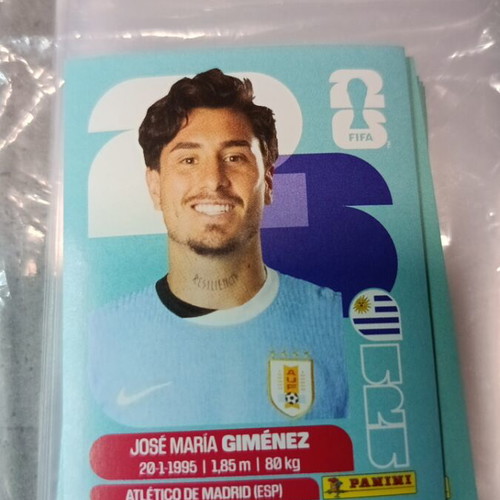 Panini FIFA World Cup 2026 Sticker like new